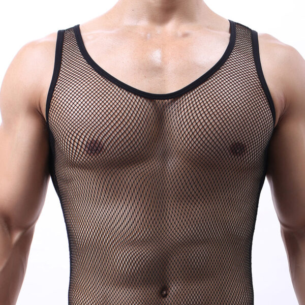 Mens Mesh See Thru Lingerie Mens Sexy Bikini Underwear - Image 4