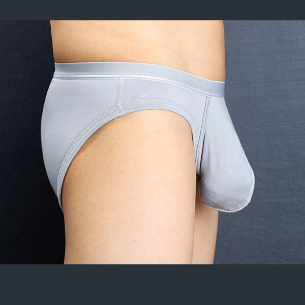 Ultra Low Rise Mens Underwear Big Penis Briefs Red Grey Blue Briefs - Image 7