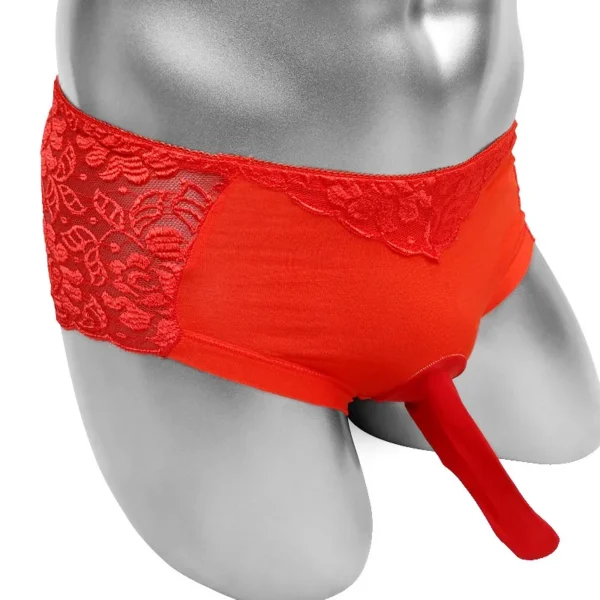 Sexy Lace Sissy Panties for Men – Briefs with Penis Sleeve – Lingerie for Gay Men - Image 3