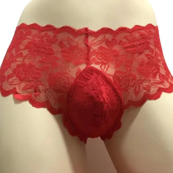 Plus Size 3XL Men's Lingerie: Lace Briefs for Gay Men - Sexy Lacework Pouch Underwear - Image 2