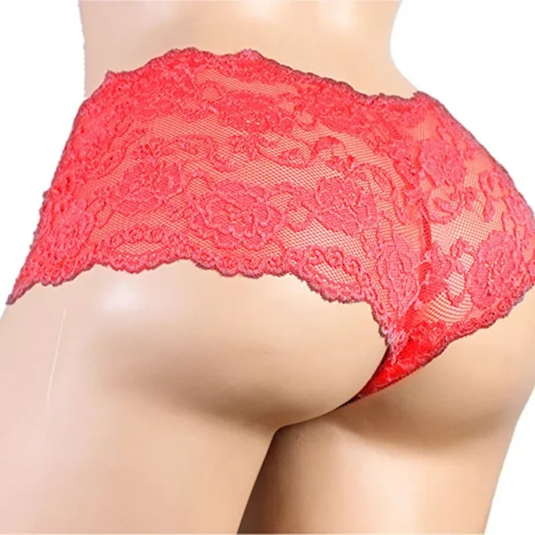 Plus Size 3XL Men's Lingerie: Lace Briefs for Gay Men - Sexy Lacework Pouch Underwear - Image 3