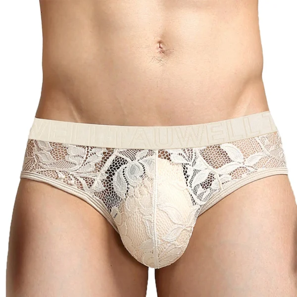 Men's Sexy See-Through Briefs with Big Pouch - Low Rise Transparent Mesh and Lace Lingerie
