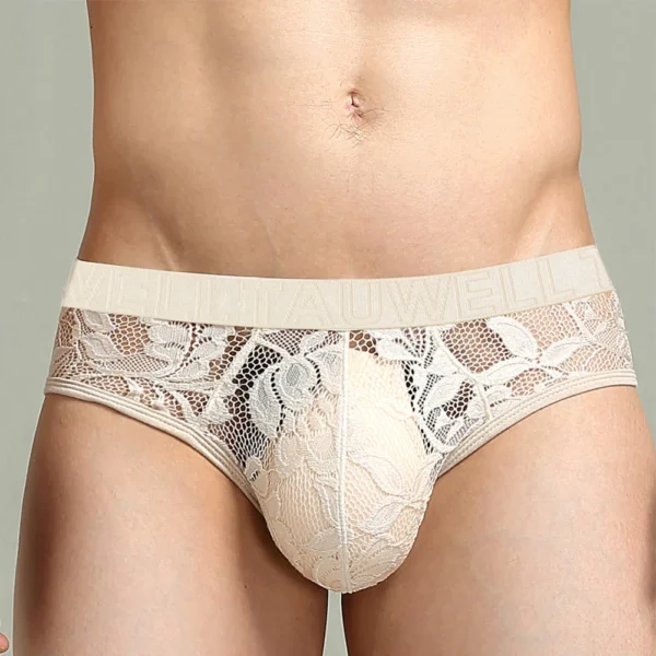 Men's Sexy See-Through Briefs with Big Pouch - Low Rise Transparent Mesh and Lace Lingerie - Image 3